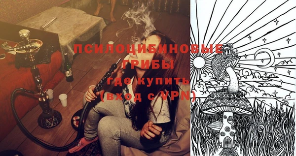 mix Богородск