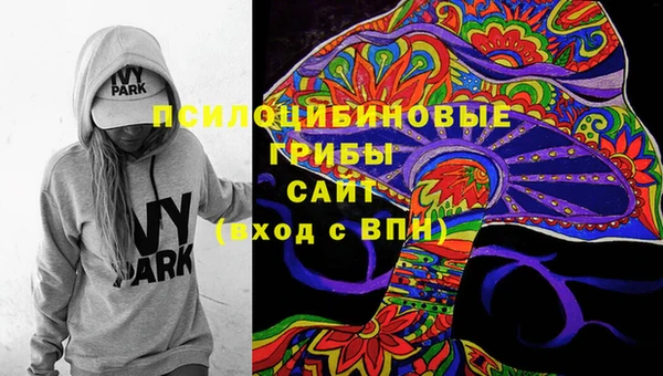 mix Богородск